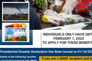 Averting Food Stamp Disaster: SNAP Challenges & Solutions Old Stamp Collecting Guide: Discover, Value & Preserve Vintage Stamps Averting Food Stamp Disaster: SNAP Challenges & Solutions | Old Stamp Collecting Guide: Discover, Value & Preserve Vintage Stamps