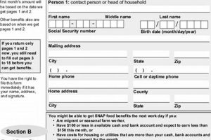 Texas Food Stamp Guide &amp; Eligibility | Old Stamp Collecting Guide: Discover, Value & Preserve Vintage Stamps