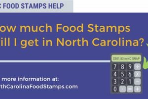 NC Food Stamp Calculator: Check Eligibility | Old Stamp Collecting Guide: Discover, Value & Preserve Vintage Stamps