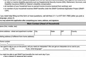 Texas Food Stamp Estimator: Check Your Benefits | Old Stamp Collecting Guide: Discover, Value & Preserve Vintage Stamps