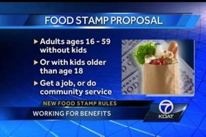 WI Food Stamp Rule Changes & Updates Old Stamp Collecting Guide: Discover, Value & Preserve Vintage Stamps WI Food Stamp Rule Changes & Updates | Old Stamp Collecting Guide: Discover, Value & Preserve Vintage Stamps