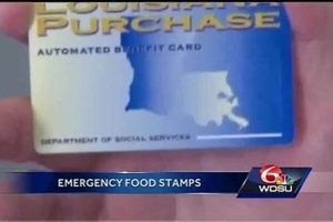 Texas Food Stamp Disaster Relief: A Guide Old Stamp Collecting Guide: Discover, Value & Preserve Vintage Stamps Texas Food Stamp Disaster Relief: A Guide | Old Stamp Collecting Guide: Discover, Value & Preserve Vintage Stamps