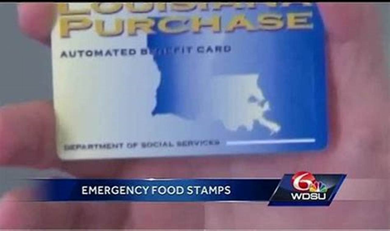 Texas Food Stamp Disaster Relief: A Guide Old Stamp Collecting Guide: Discover, Value & Preserve Vintage Stamps Texas Food Stamp Disaster Relief: A Guide | Old Stamp Collecting Guide: Discover, Value & Preserve Vintage Stamps