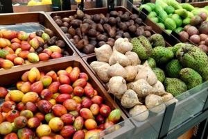 Trump Stops Food Stamp | Old Stamp Collecting Guide: Discover, Value & Preserve Vintage Stamps