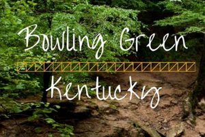 Find Bowling Green KY Food Stamp Office Locations Old Stamp Collecting Guide: Discover, Value & Preserve Vintage Stamps Find Bowling Green KY Food Stamp Office Locations | Old Stamp Collecting Guide: Discover, Value & Preserve Vintage Stamps