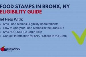 Find Bronx SNAP Offices Near You Old Stamp Collecting Guide: Discover, Value & Preserve Vintage Stamps Find Bronx SNAP Offices Near You | Old Stamp Collecting Guide: Discover, Value & Preserve Vintage Stamps