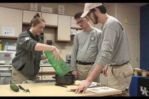 Madisonville Ky Food Stamp Office | Old Stamp Collecting Guide: Discover, Value & Preserve Vintage Stamps