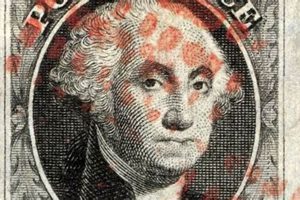 SNAP Benefits Canton MS: Food Stamp Office Guide | Old Stamp Collecting Guide: Discover, Value & Preserve Vintage Stamps