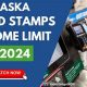 Nebraska Food Stamp Guidelines | Old Stamp Collecting Guide: Discover, Value & Preserve Vintage Stamps