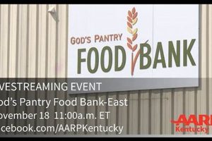 SNAP Benefits: Prestonsburg KY Food Stamp Office Guide Old Stamp Collecting Guide: Discover, Value & Preserve Vintage Stamps SNAP Benefits: Prestonsburg KY Food Stamp Office Guide | Old Stamp Collecting Guide: Discover, Value & Preserve Vintage Stamps