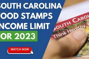 SC Food Stamp Income Limits: 2024 Guide | Old Stamp Collecting Guide: Discover, Value & Preserve Vintage Stamps