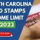 SC Food Stamp Income Limits: 2024 Guide | Old Stamp Collecting Guide: Discover, Value & Preserve Vintage Stamps