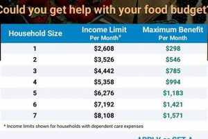 NY Food Stamp Guide: SNAP Benefits & Eligibility Old Stamp Collecting Guide: Discover, Value & Preserve Vintage Stamps NY Food Stamp Guide: SNAP Benefits & Eligibility | Old Stamp Collecting Guide: Discover, Value & Preserve Vintage Stamps