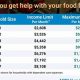 NY Food Stamp Guide: SNAP Benefits & Eligibility | Old Stamp Collecting Guide: Discover, Value & Preserve Vintage Stamps
