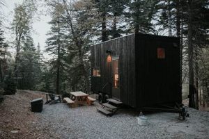 Cozy Postcard Cabins: Starved Rock Prices & Deals | Old Stamp Collecting Guide: Discover, Value & Preserve Vintage Stamps