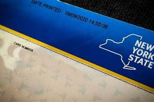 Lost Your Food Stamp Card? Order a New One Now Old Stamp Collecting Guide: Discover, Value & Preserve Vintage Stamps Lost Your Food Stamp Card? Order a New One Now | Old Stamp Collecting Guide: Discover, Value & Preserve Vintage Stamps