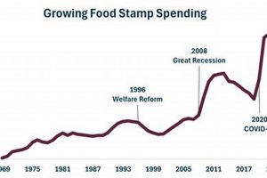 Understanding the Federal Food Stamp Budget: A Guide Old Stamp Collecting Guide: Discover, Value & Preserve Vintage Stamps Understanding the Federal Food Stamp Budget: A Guide | Old Stamp Collecting Guide: Discover, Value & Preserve Vintage Stamps