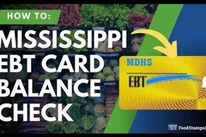 Check Your MS Food Stamp Balance Instantly | Old Stamp Collecting Guide: Discover, Value & Preserve Vintage Stamps