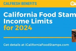 California Food Stamp Income Limits | Old Stamp Collecting Guide: Discover, Value & Preserve Vintage Stamps