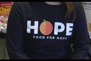 Adams County Food Stamp Office: Contact & Phone | Old Stamp Collecting Guide: Discover, Value & Preserve Vintage Stamps