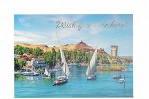 Premium Gold Foil Postcard Printing Services | Old Stamp Collecting Guide: Discover, Value & Preserve Vintage Stamps