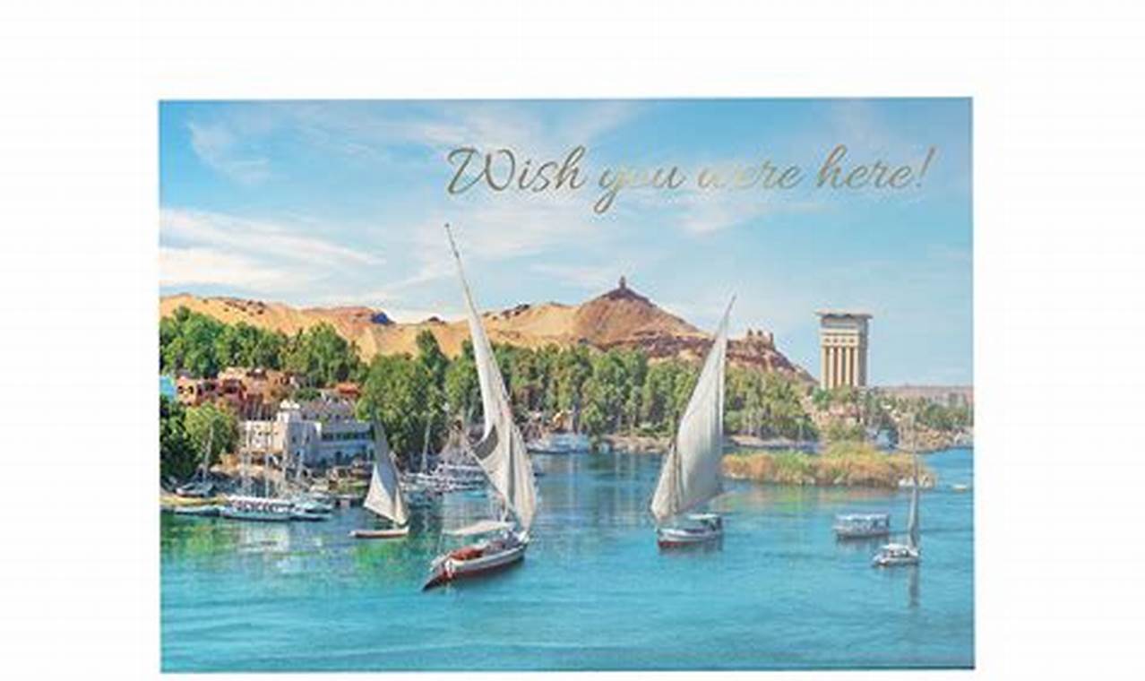 Premium Gold Foil Postcard Printing Services | Old Stamp Collecting Guide: Discover, Value & Preserve Vintage Stamps