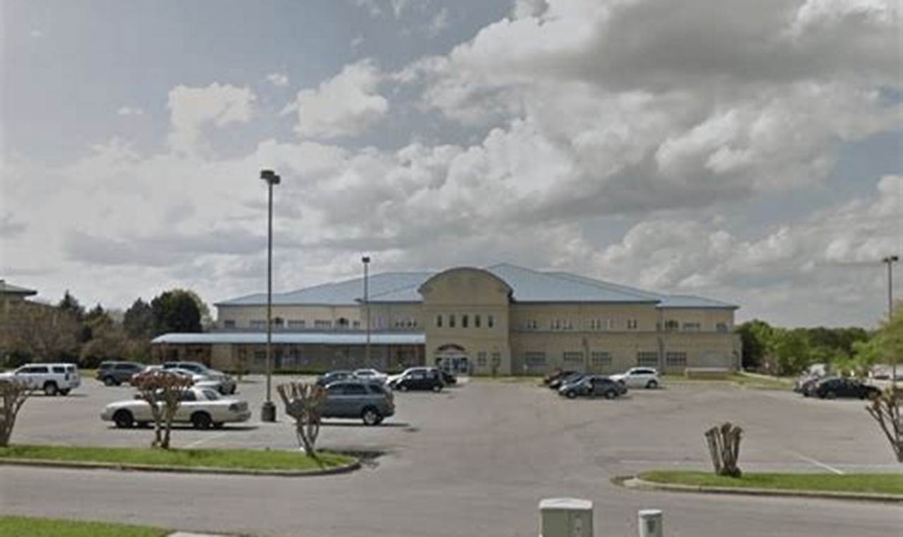 Greenville County Food Stamp Office: Your Guide & Resources Old Stamp Collecting Guide: Discover, Value & Preserve Vintage Stamps Greenville County Food Stamp Office: Your Guide & Resources | Old Stamp Collecting Guide: Discover, Value & Preserve Vintage Stamps