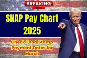 Your 2025 Food Stamp Payment Dates Guide | Old Stamp Collecting Guide: Discover, Value & Preserve Vintage Stamps