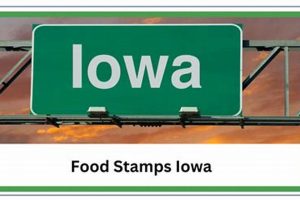 Food Stamp Iowa Old Stamp Collecting Guide: Discover, Value & Preserve Vintage Stamps Food Stamp Iowa | Old Stamp Collecting Guide: Discover, Value & Preserve Vintage Stamps