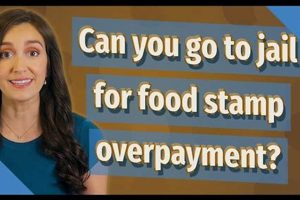 Food Stamp Overpayment: Jail Time? Penalties & FAQs | Old Stamp Collecting Guide: Discover, Value & Preserve Vintage Stamps