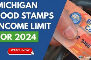MI Food Stamp Schedule 2024 Guide & Updates | Old Stamp Collecting Guide: Discover, Value & Preserve Vintage Stamps