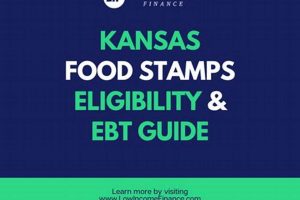 Kansas Food Stamp Eligibility Guide &amp; Application | Old Stamp Collecting Guide: Discover, Value & Preserve Vintage Stamps