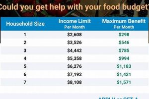 MD Food Stamp Eligibility: A Guide Old Stamp Collecting Guide: Discover, Value & Preserve Vintage Stamps MD Food Stamp Eligibility: A Guide | Old Stamp Collecting Guide: Discover, Value & Preserve Vintage Stamps