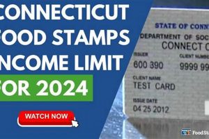 Ct Food Stamp Income Limits | Old Stamp Collecting Guide: Discover, Value & Preserve Vintage Stamps