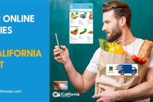 Does Aldi Accept Food Stamps? Yes! Old Stamp Collecting Guide: Discover, Value & Preserve Vintage Stamps Does Aldi Accept Food Stamps? Yes! | Old Stamp Collecting Guide: Discover, Value & Preserve Vintage Stamps