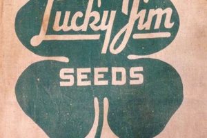 Evansville IN Food Stamp Office: Your Guide &amp; Resources | Old Stamp Collecting Guide: Discover, Value & Preserve Vintage Stamps