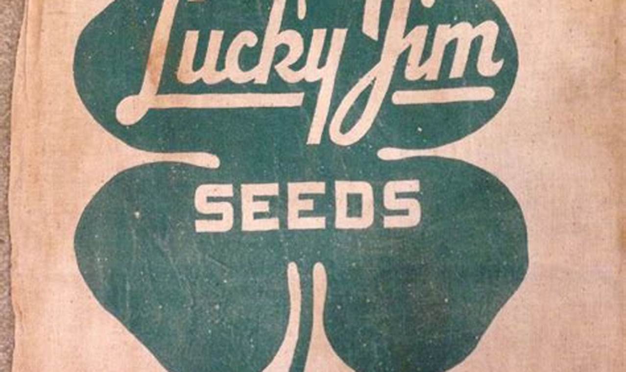 Evansville IN Food Stamp Office: Your Guide &amp; Resources | Old Stamp Collecting Guide: Discover, Value & Preserve Vintage Stamps