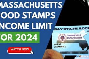 MA Food Stamp Income Guidelines 2024 Old Stamp Collecting Guide: Discover, Value & Preserve Vintage Stamps MA Food Stamp Income Guidelines 2024 | Old Stamp Collecting Guide: Discover, Value & Preserve Vintage Stamps