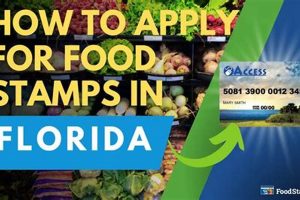 Florida Food Stamp Eligibility Requirements 2024 Old Stamp Collecting Guide: Discover, Value & Preserve Vintage Stamps Florida Food Stamp Eligibility Requirements 2024 | Old Stamp Collecting Guide: Discover, Value & Preserve Vintage Stamps