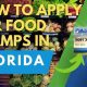 Florida Food Stamp Eligibility Requirements 2024 | Old Stamp Collecting Guide: Discover, Value & Preserve Vintage Stamps
