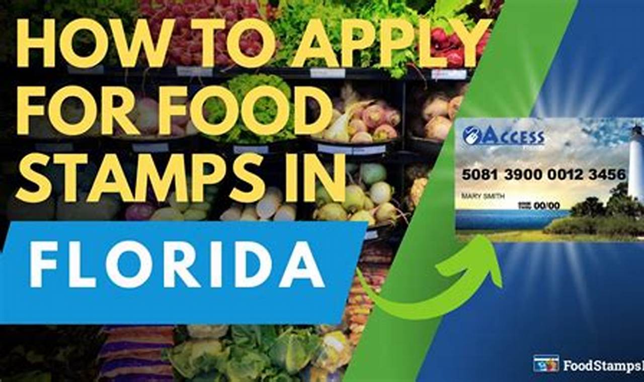 Florida Food Stamp Eligibility Requirements 2024 Old Stamp Collecting Guide: Discover, Value & Preserve Vintage Stamps Florida Food Stamp Eligibility Requirements 2024 | Old Stamp Collecting Guide: Discover, Value & Preserve Vintage Stamps