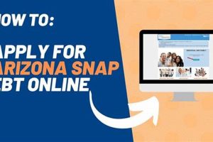 Food Stamp Interview Number Az | Old Stamp Collecting Guide: Discover, Value & Preserve Vintage Stamps