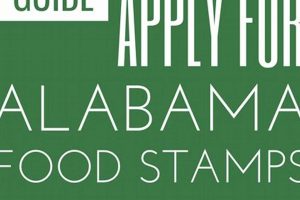 Find Your Robertsdale AL Food Stamp Office | Old Stamp Collecting Guide: Discover, Value & Preserve Vintage Stamps