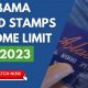 Alabama Food Stamp Balance Number | Old Stamp Collecting Guide: Discover, Value & Preserve Vintage Stamps