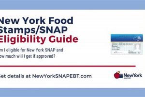 NY Food Stamp Calculator 2024: Check Eligibility | Old Stamp Collecting Guide: Discover, Value & Preserve Vintage Stamps