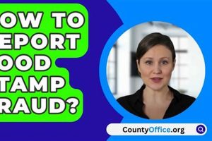 Reporting Food Stamp Fraud: A Guide | Old Stamp Collecting Guide: Discover, Value & Preserve Vintage Stamps