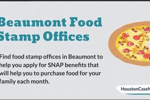 Find Your Beaumont, TX Food Stamp Office | Old Stamp Collecting Guide: Discover, Value & Preserve Vintage Stamps