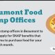 Find Your Beaumont, TX Food Stamp Office | Old Stamp Collecting Guide: Discover, Value & Preserve Vintage Stamps