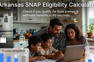 Arkansas Food Stamp Balance | Old Stamp Collecting Guide: Discover, Value & Preserve Vintage Stamps
