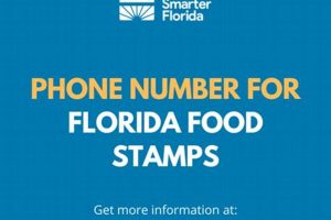 Florida Food Stamp Phone Number | Old Stamp Collecting Guide: Discover, Value & Preserve Vintage Stamps